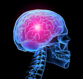 Tension headaches, migraines and cluster headaches are all forms of primary headaches.